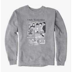 Flash Sale 🎁 Studio Ghibli Only Yesterday King Of Fruits Sweatshirt ❤️